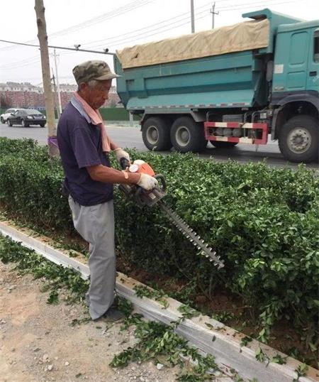 內(nèi)蒙古園林機(jī)械公司綠籬修剪機(jī) 內(nèi)蒙古園林機(jī)械公司綠籬修剪機(jī)